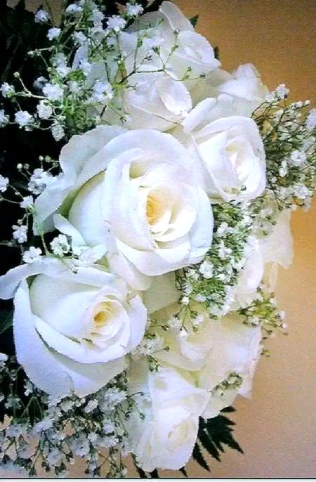 Beautiful Nature image