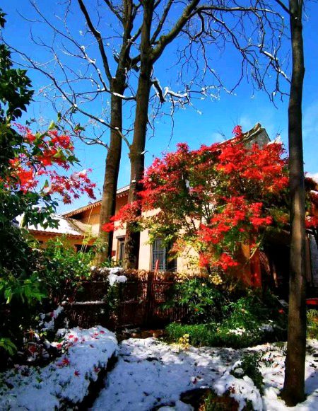 Beautiful Nature image