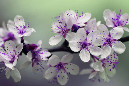 Beautiful Nature image