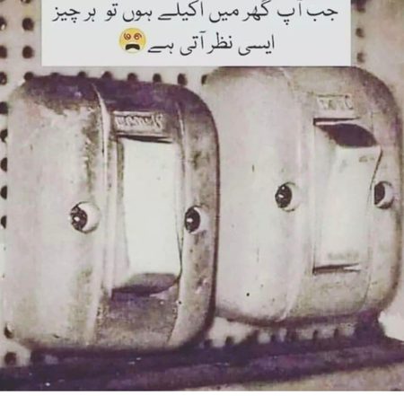 Memes & Satire image