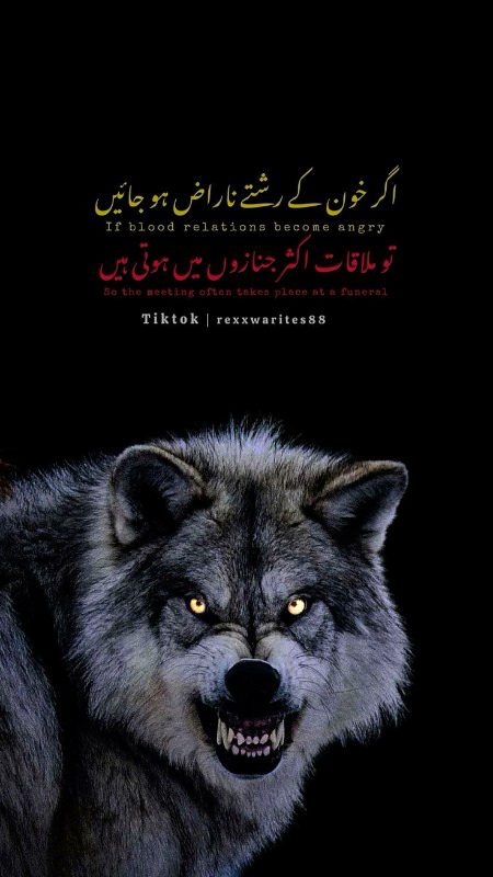 Attitude Quotes image