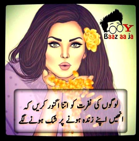 Memes & Satire image