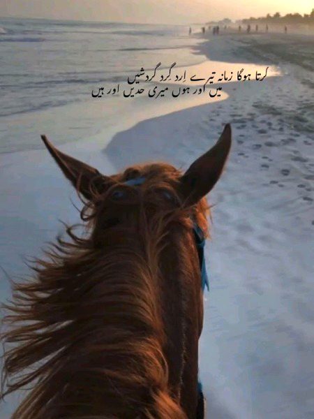 Attitude Poetry image