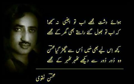 Sad Poetry image