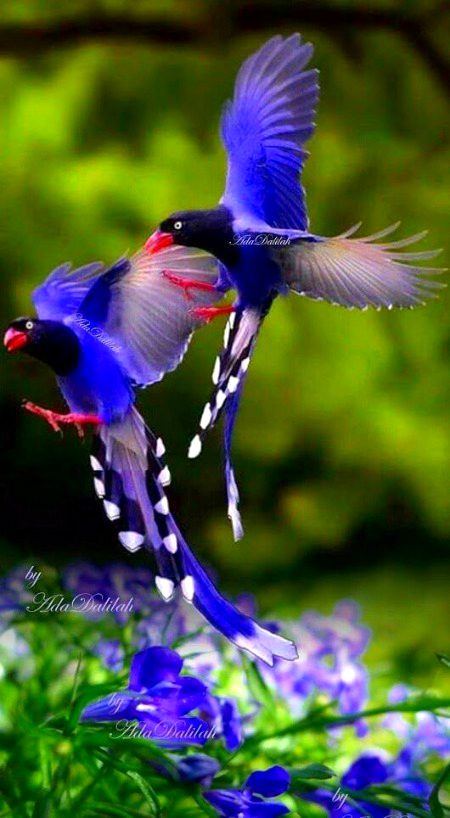 Beautiful Nature image