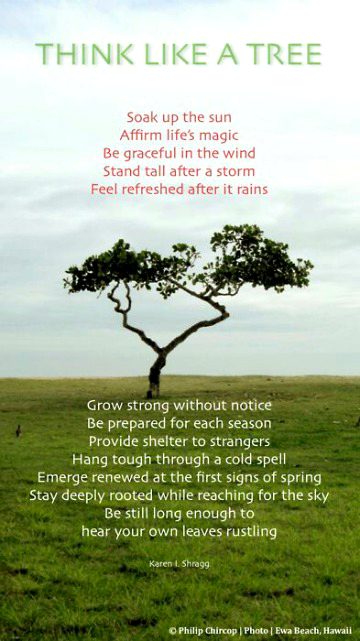 Motivational Quotes image