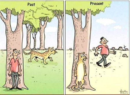 Memes & Satire image