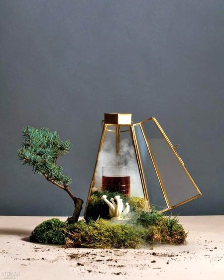 Beautiful Nature image