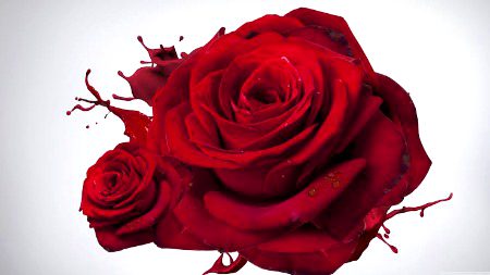 Beautiful Nature image