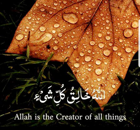 Islamic Quotes image