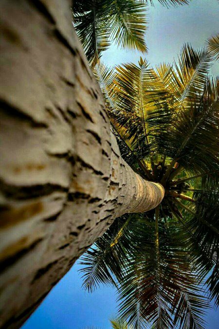 Beautiful Nature image