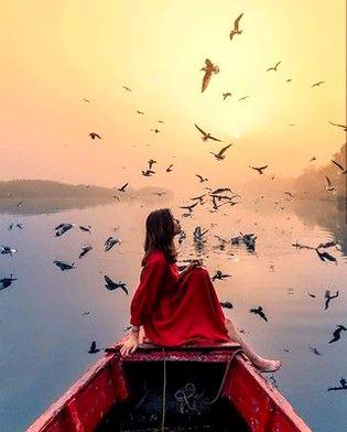 Beautiful Nature image