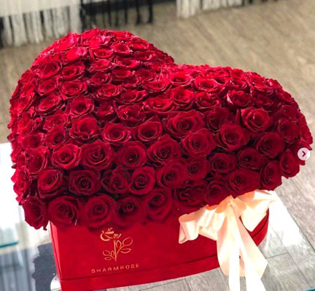 Beautiful Nature image