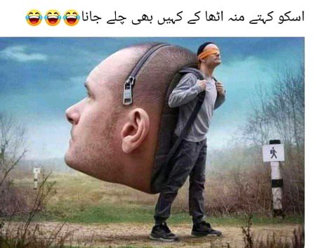 Memes & Satire image