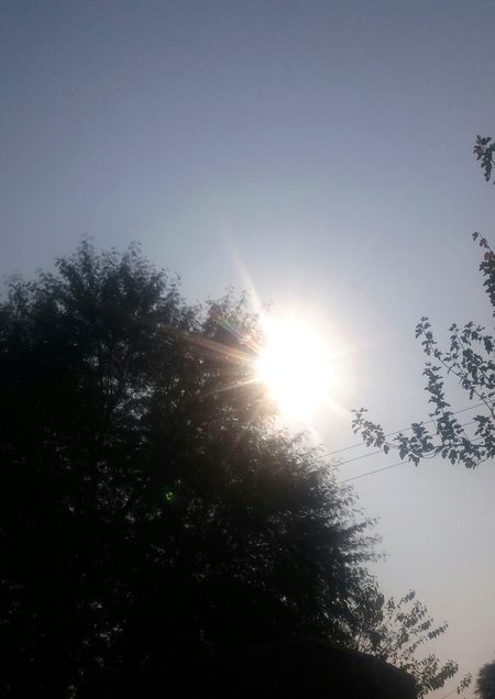 Beautiful Nature image