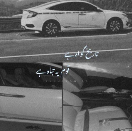 Memes & Satire image