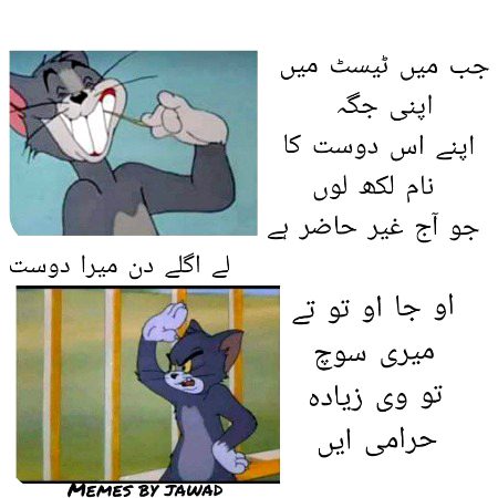 Memes & Satire image