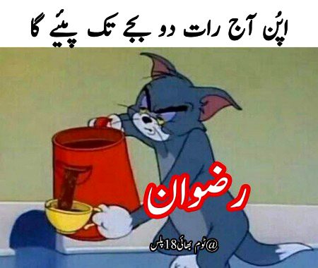Memes & Satire image