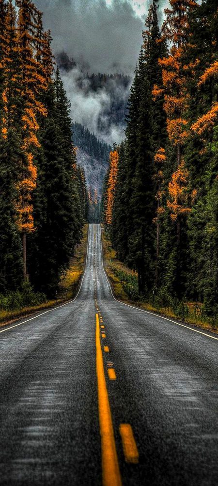 Beautiful Nature image