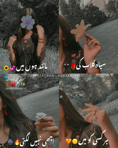 Attitude Poetry image