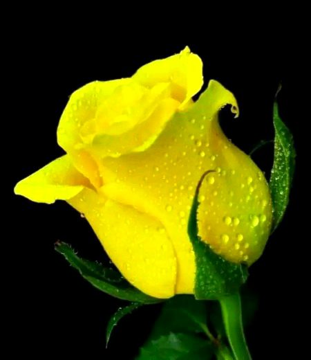 Beautiful Nature image