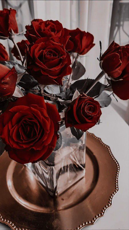 Beautiful Nature image