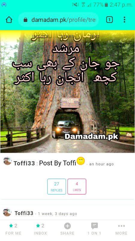 Damadam Roasting image