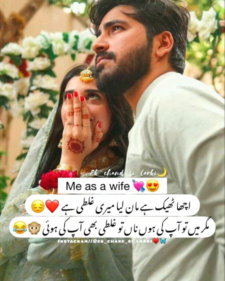 Memes & Satire image