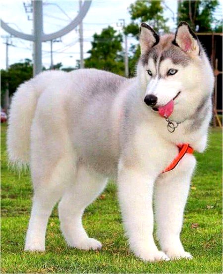 Beautiful Nature image