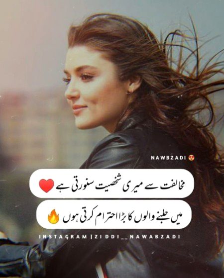 Attitude Quotes image