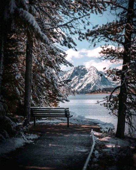 Beautiful Nature image