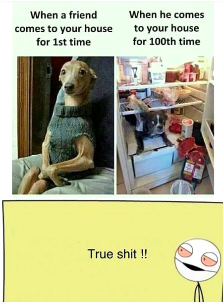 Memes & Satire image