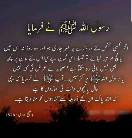 Islamic Quotes image