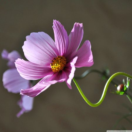 Beautiful Nature image