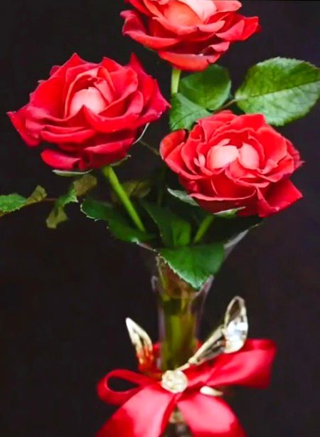 Beautiful Nature image