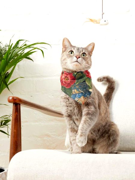 Beautiful Nature image