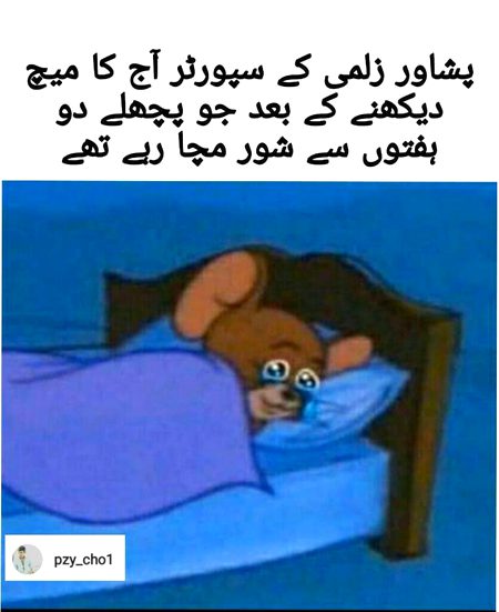 Memes & Satire image