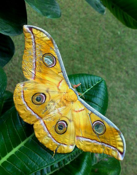 Beautiful Nature image