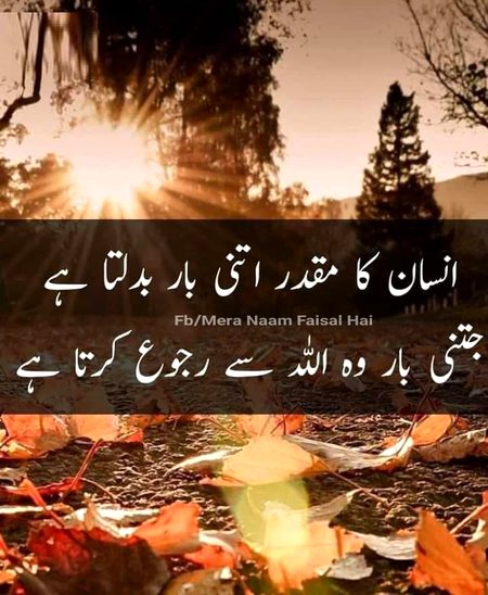 Islamic Quotes image