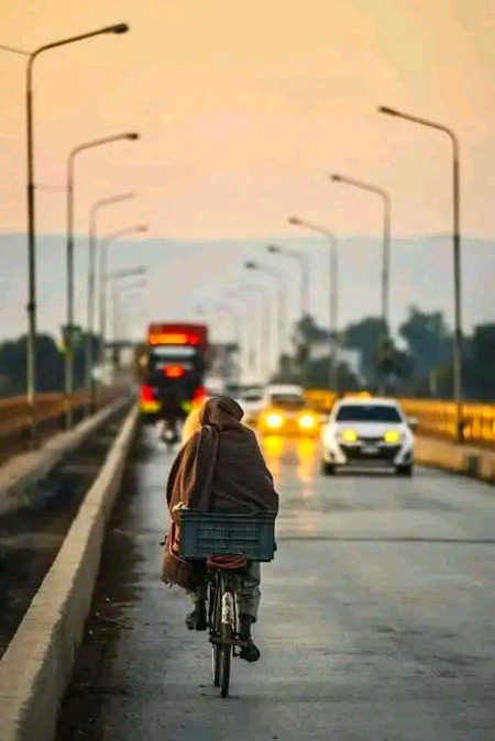 Beautiful Nature image