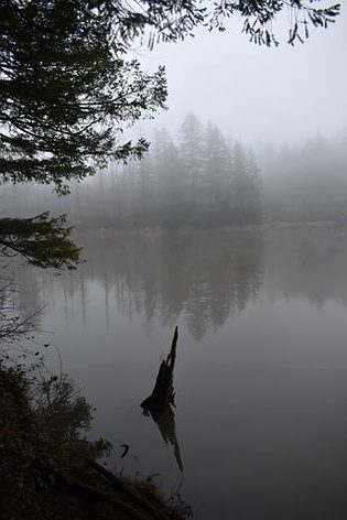 Beautiful Nature image