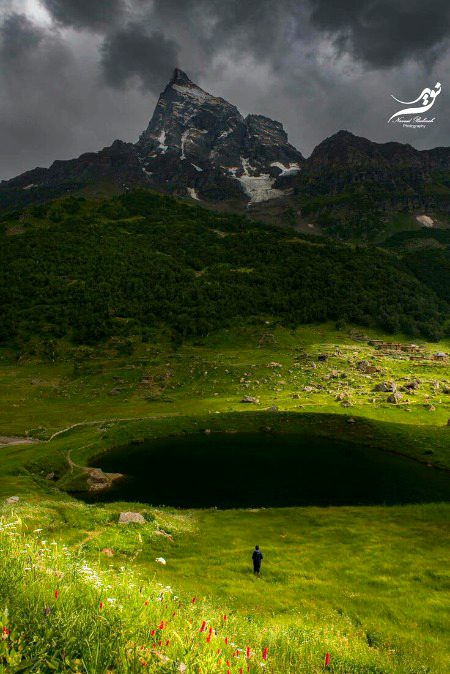 Beautiful Nature image