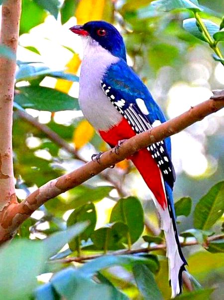 Beautiful Nature image