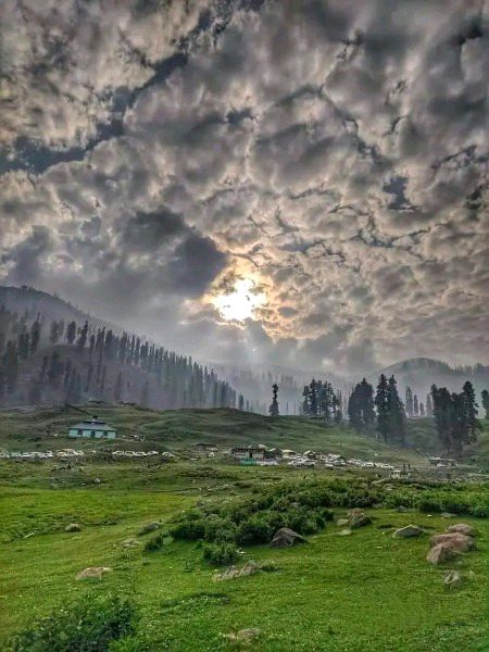 Beautiful Nature image