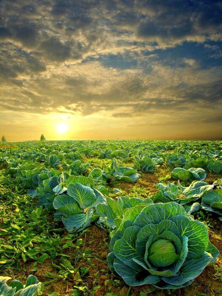 Beautiful Nature image