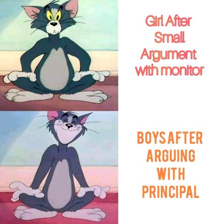 Memes & Satire image