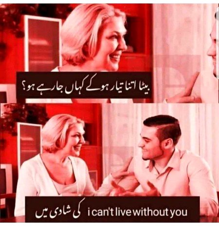 Memes & Satire image