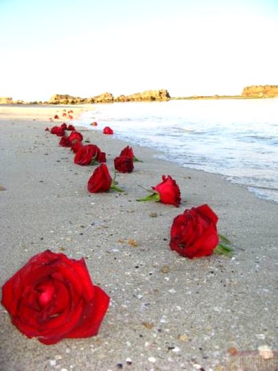 Beautiful Nature image