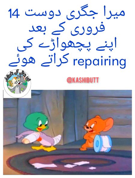 Memes & Satire image