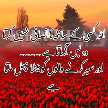 Islamic Quotes image